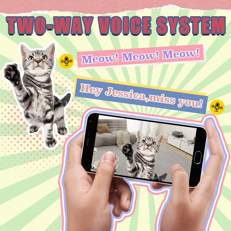 Automatic Cat Feeder , Networked Automatic Pet Feeder with Freshness Function, 6L Timed Cat Feeder with Low Food Sensor, Pet Supplies Automatic Pet